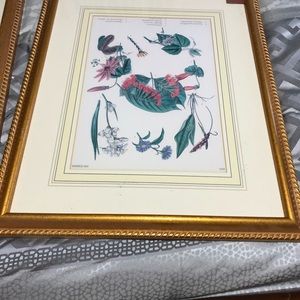 Set of 3 Bombay prints